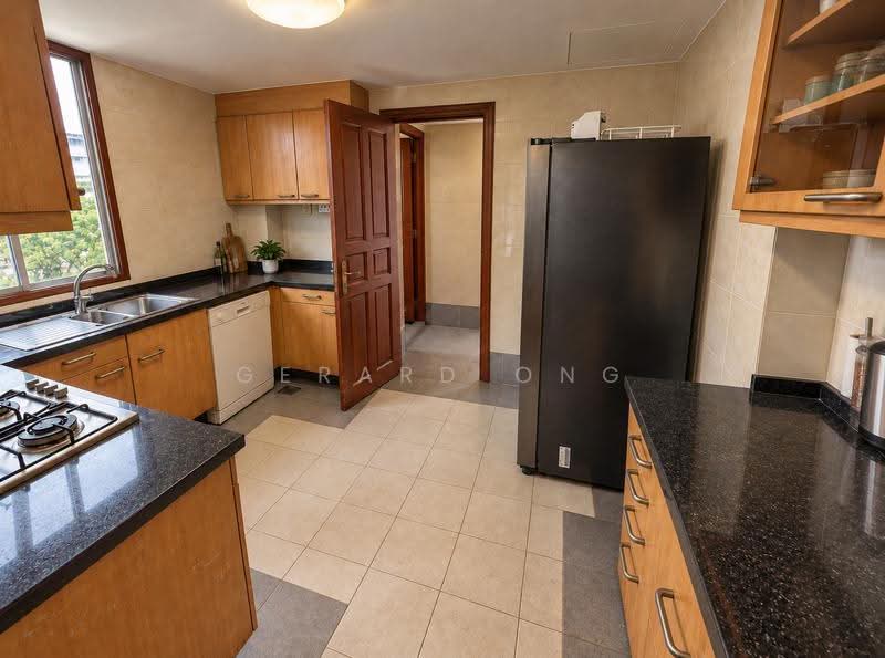 Hullet Rise, 6 Hullet Road, Orchard / River Valley, 3 Bedrooms, 1,147 sqft, Condominium For Rent, by Gerard Ong, 23794529 - Kitchen - PropertyGuru.com.sg