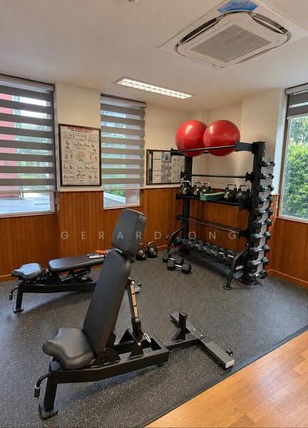 Hullet Rise, 6 Hullet Road, Orchard / River Valley, 3 Bedrooms, 1,147 sqft, Condominium For Rent, by Gerard Ong, 23794529 - Gym - PropertyGuru.com.sg