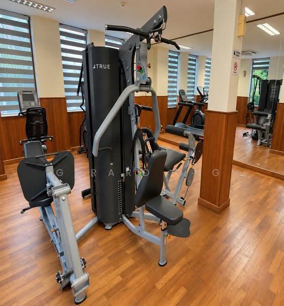 Hullet Rise, 6 Hullet Road, Orchard / River Valley, 3 Bedrooms, 1,147 sqft, Condominium For Rent, by Gerard Ong, 23794529 - Gym - PropertyGuru.com.sg
