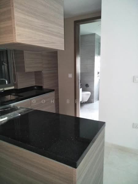 8 Saint Thomas, 10 Saint Thomas Walk, 1 Bedroom, 506 sqft, Condominium For Rent, by Goh Betty, 23795271 - PropertyGuru.com.sg