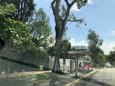 For Sale - 41 Mount Sinai Road