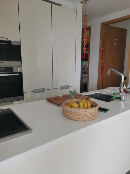 Paterson Suites, 57 Paterson Road, 3 Bedrooms, 1,679 sqft, Condominium For Rent, by Molene Yeo, 23800876 - PropertyGuru.com.sg