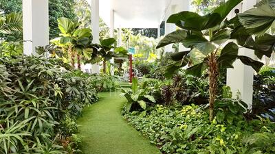 For Rent - Lush on Holland Hill