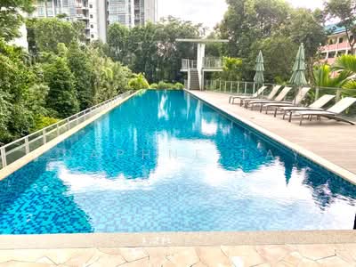 For Rent - Lush on Holland Hill