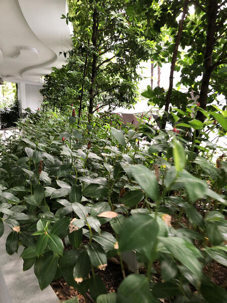 For Sale - 8 Saint Thomas