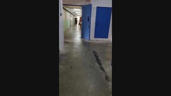 Golden Wall Flatted Factory, 2 Jalan Rajah, Balestier / Toa Payoh, 1,572 sqft, Light Industrial (B1) For Sale, by Teo Alice, 23815691 - CommercialGuru.com.sg