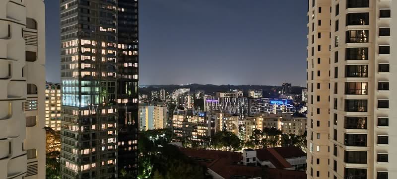 Ardmore Park, 9 Ardmore Park, 4 Bedrooms, 2,885 sqft, Condominium For Sale, by William Wong, 23821555 - Mesmerising Night View of actual unit - PropertyGuru.com.sg