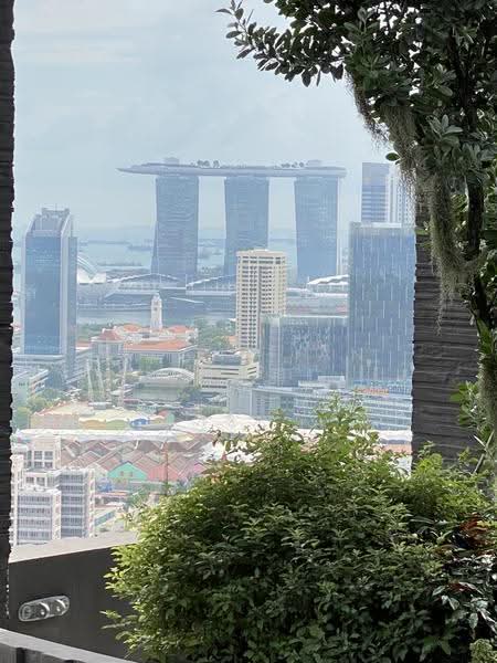 Martin Modern, 8 Martin Place, Orchard / River Valley, 2 Bedrooms, 872 sqft, Apartment For Rent, by Alan Tian (邓金科), 23830450 - PropertyGuru.com.sg