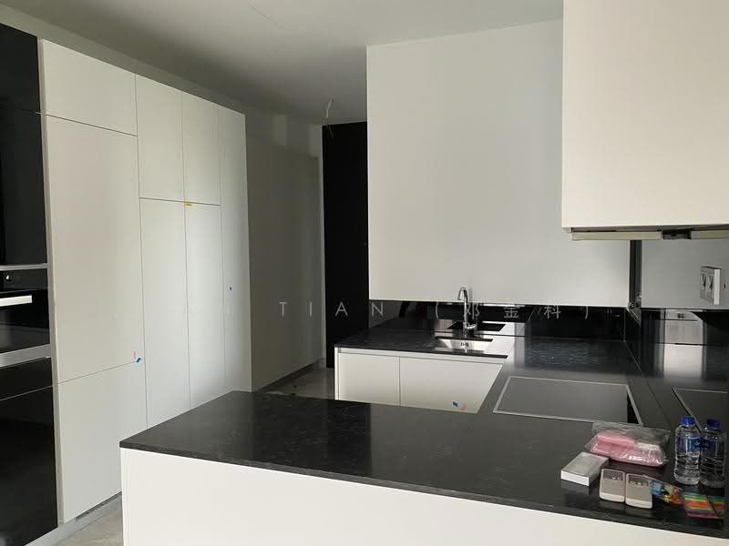 Martin Modern, 8 Martin Place, Orchard / River Valley, 2 Bedrooms, 872 sqft, Apartment For Rent, by Alan Tian (邓金科), 23830450 - PropertyGuru.com.sg