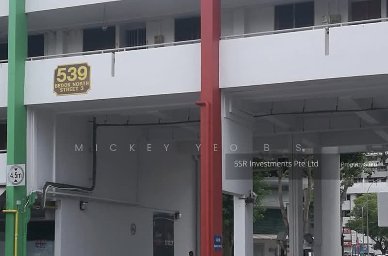 539 Bedok North Street 3, 539 Bedok North Street 3, 2 Bedrooms, 720 sqft, HDB Flat For Rent, by Mickey Yeo B S, 23846080 - PropertyGuru.com.sg