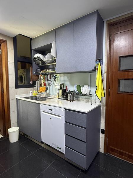 River Place, 66 Havelock Road, 3 Bedrooms, 1,389 sqft, Condominium For Rent, by Adrian Lee, 23859669 - PropertyGuru.com.sg