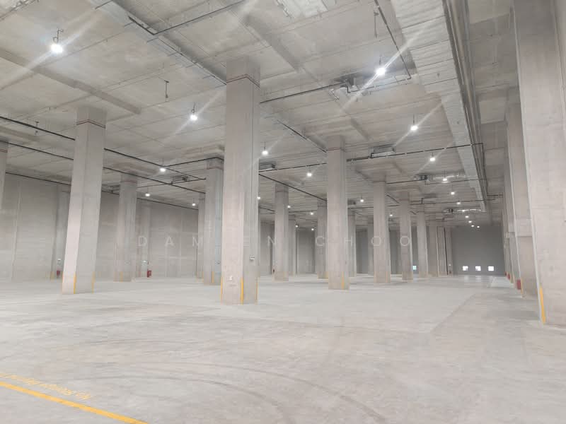 Brand New Ground floor 12 metre