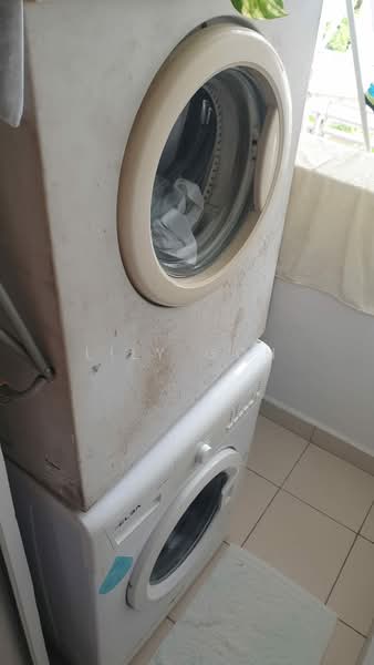 For Rent - The Trumps