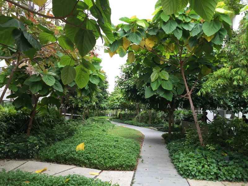 Flamingo Valley, 468 Siglap Road, 1 Bedroom, 200 sqft, Condominium For Rent, by Natalia Triani, 23866190 - PropertyGuru.com.sg