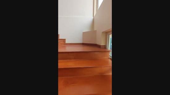 Renovated 3 Storey Modern Bungalow With Beautiful Pool For Lease, Merryn Road, Trevose Crescent, Dunearn Road, Newton / Novena, 5 Bedrooms, 6,000 sqft, Detached House For Rent, by Roy Low, 23868008 - PropertyGuru.com.sg