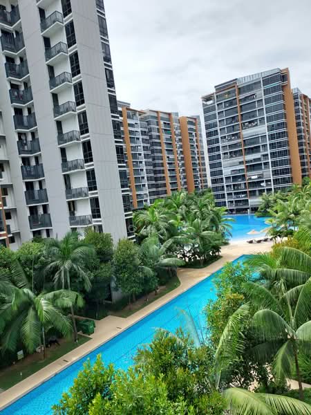 Coco Palms, 21 Pasir Ris Grove, 1 Bedroom, 463 sqft, Condominium For Rent, by Alice Teo, 23868726 - PropertyGuru.com.sg