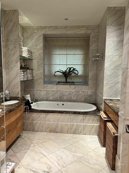 Ardmore Park, 9 Ardmore Park, 4 Bedrooms, 2,885 sqft, Condominium For Sale, by Tey Song Kiem, 23869149 - PropertyGuru.com.sg