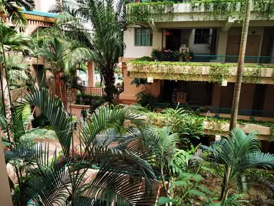 For Rent - Maple Woods