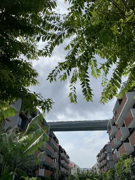 Royalgreen, 2 Anamalai Avenue, 2 Bedrooms, 667 sqft, Condominium For Rent, by Kelly Ye, 23884024 - PropertyGuru.com.sg