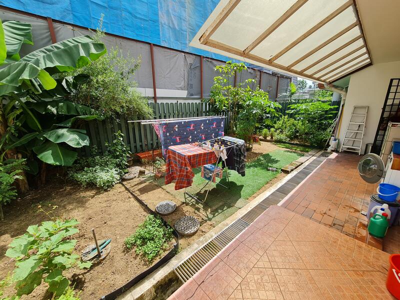 Rear garden with veggies