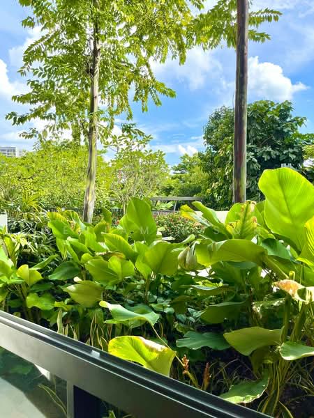 Riverbank at Fernvale, 17 Fernvale Close, 2 Bedrooms, 807 sqft, Condominium For Rent, by Benjamin Soh, 23896759 - PropertyGuru.com.sg