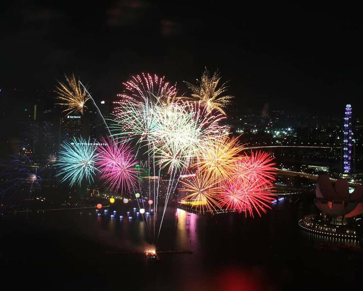 Watch firework display on your couch or on your bed 