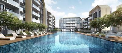 For Sale - The Gazania