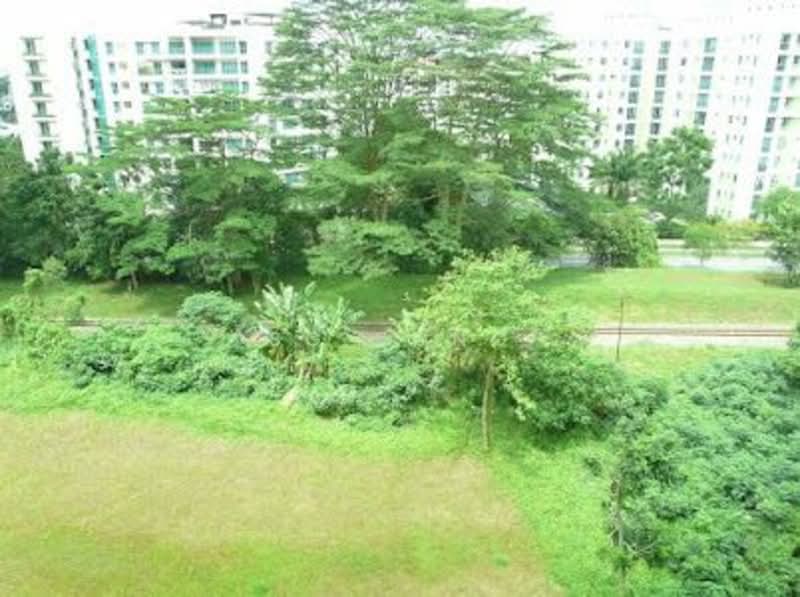 The Raintree, 91 Bukit Drive, 3 Bedrooms, 1,388 sqft, Condominium For Rent, by SG Yong, 23937159 - PropertyGuru.com.sg