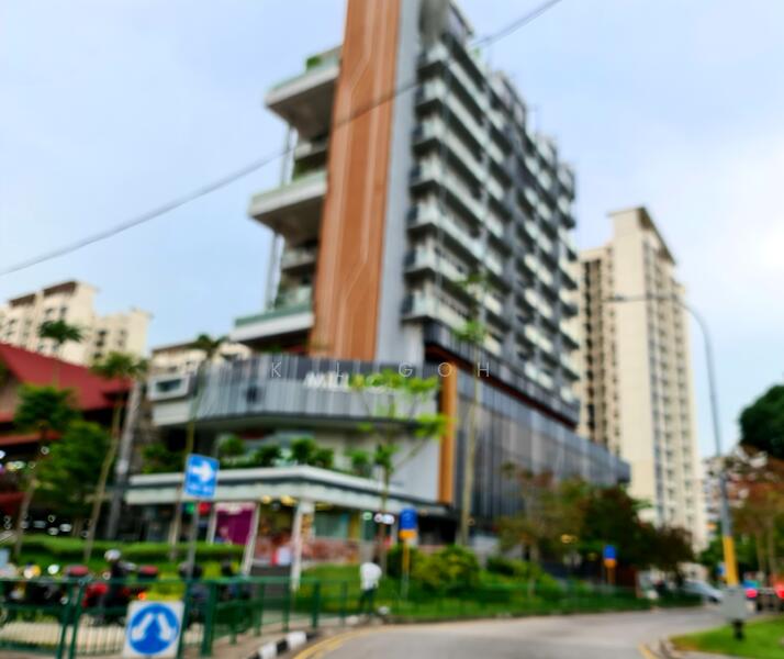 Millage, 55 Changi Road, 226 sqft, Other Retail For Sale, by K L Goh, 23944872 - CommercialGuru.com.sg