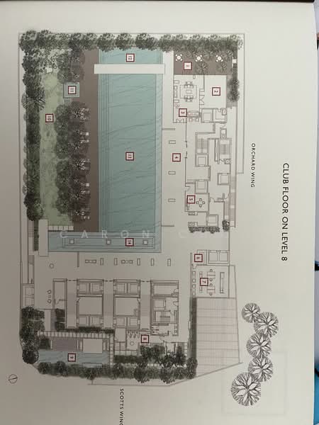 Scotts Square, 6 Scotts Road, 1 Bedroom, 635 sqft, Apartment For Rent, by Caron Choo, 23945359 - PropertyGuru.com.sg