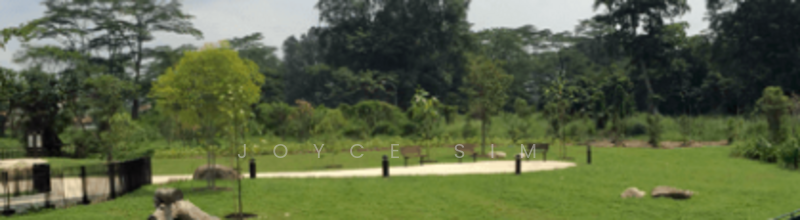 For Sale - GCB Good Class Bungalow, wide frontage. Good buy.
