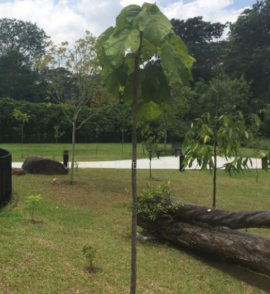 For Sale - GCB Good Class Bungalow, wide frontage. Good buy.