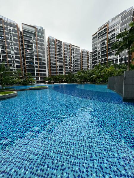 Coco Palms, 25 Pasir Ris Grove, 3 Bedrooms, 904 sqft, Condominium For Rent, by Jae Tan, 23970394 - PropertyGuru.com.sg