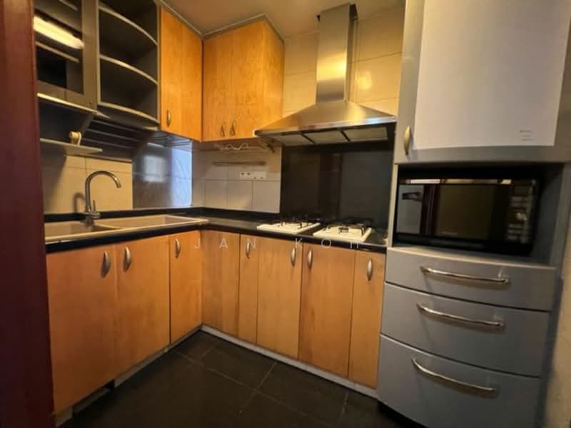 River Place, 60 Havelock Road, 1 Bedroom, 797 sqft, Condominium For Rent, by Jan Koh, 23970407 - PropertyGuru.com.sg