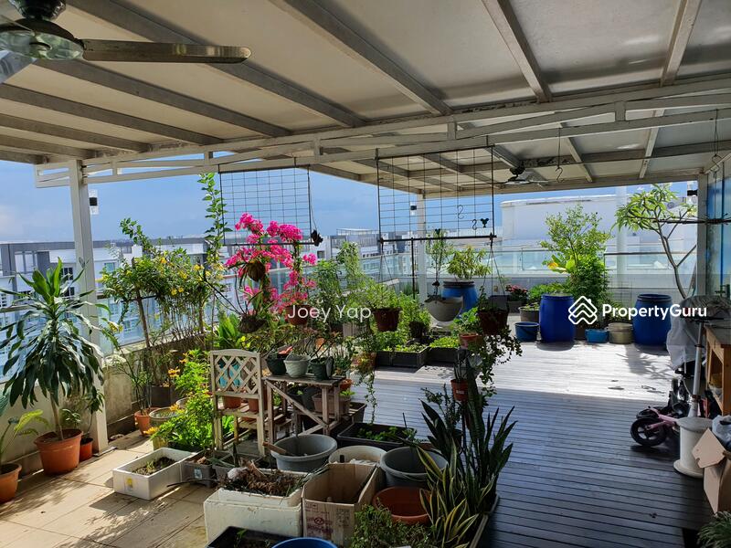 For Sale - A Treasure Trove