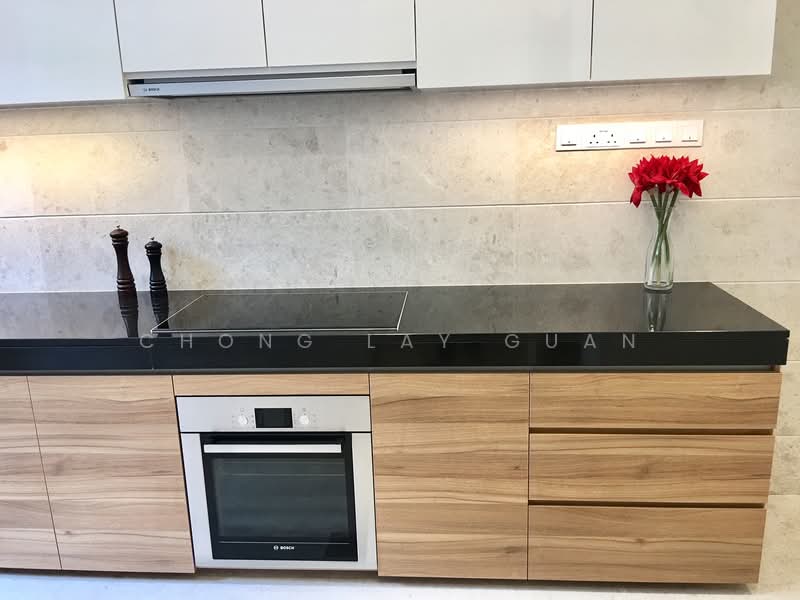 Spacious modern house in central downtown location, Jalan Tupai, 6 Bedrooms, 4,860 sqft, Semi-Detached House For Rent, by Chong Lay Guan, 23981032 - PropertyGuru.com.sg