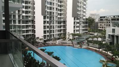 For Rent - Skies Miltonia