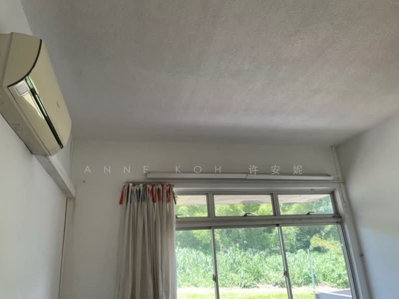 Springleaf Villas, Springleaf Crescent, 4 Bedrooms, 5,000 sqft, Semi-Detached House For Rent, by Anne Koh 许安妮, 23998974 - PropertyGuru.com.sg