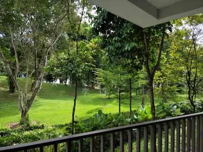 For Rent - Archipelago