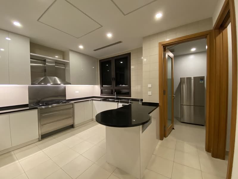 Ardmore Park, 11 Ardmore Park, 4 Bedrooms, 2,885 sqft, Condominium For Rent, by PJ Lee, 24012101 - PropertyGuru.com.sg