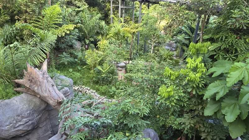 MARGOLIOUTH / DALVEY / WHITE HOUSE⭐️ CHARMING GCB ON A BEAUTIFUL PLOT（顶级优质洋房) ☎️ PAM 90228600, Margoliouth/Dalvey/White House, Orchard / River Valley, 5 Bedrooms, 8,000 sqft, Good Class Bungalow For Sale, by Pamela Chong, 24013315 - Garden - PropertyGuru.com.sg