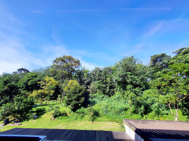 Springleaf Crescent, Springleaf Crescent, Mandai / Upper Thomson, 5 Bedrooms, 3,800 sqft, Semi-Detached House For Rent, by Adam Tng, 24019669 - PropertyGuru.com.sg