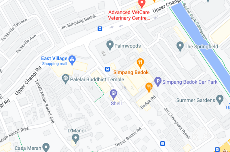 Bedok Shopping Centre, 306 Bedok Road, Studio, 700 sqft, Walk-up Apartment For Rent, by Sim Yuxin, 24026406 - PropertyGuru.com.sg
