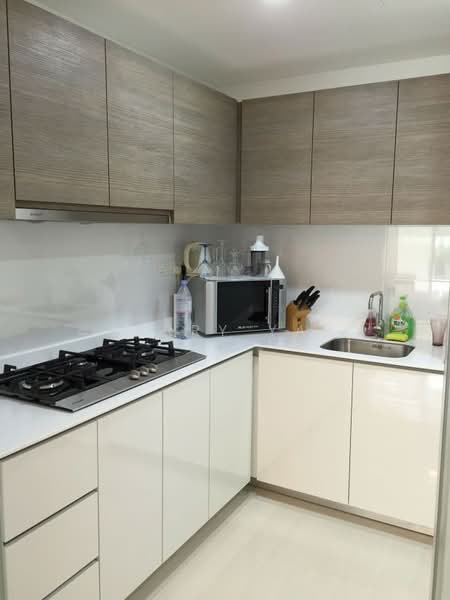 Terrasse, 31 Terrasse Lane, 4 Bedrooms, 1,647 sqft, Condominium For Rent, by Harry Yap, 24027746 - PropertyGuru.com.sg