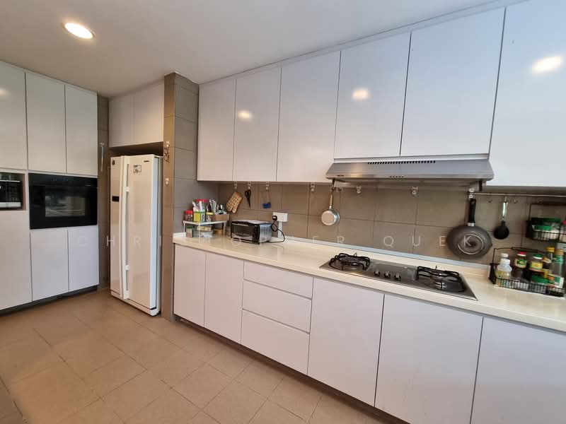 Sommerville Park, 93 Farrer Drive, 4 Bedrooms, 4,286 sqft, Condominium For Rent, by Christopher Quek, 24031193 - New kitchen.  - PropertyGuru.com.sg