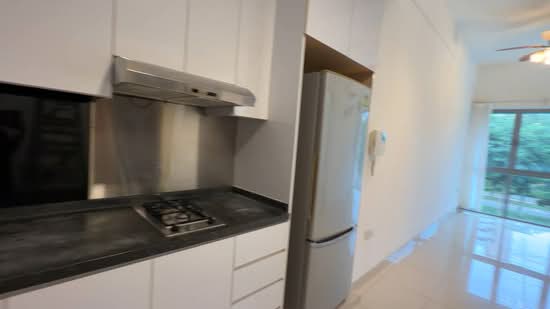 D'Zire, 12 Robey Crescent, 1 Bedroom, 484 sqft, Condominium For Rent, by Rachel Koh, 24033506 - PropertyGuru.com.sg