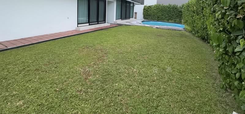 Rare Freehold GCB, huge land with square shape and lush greenery, great privacy at quiet place, Leedon Road vicinity - call 8130 3636 to view, 5 Bedrooms, 5,000 sqft, Good Class Bungalow For Sale, by Kim Yan 金燕, 24033917 - PropertyGuru.com.sg