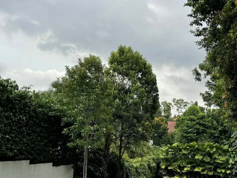 Rare Freehold GCB, huge land with square shape and lush greenery, great privacy at quiet place, Leedon Road vicinity - call 8130 3636 to view, 5 Bedrooms, 5,000 sqft, Good Class Bungalow For Sale, by Kim Yan 金燕, 24033917 - PropertyGuru.com.sg