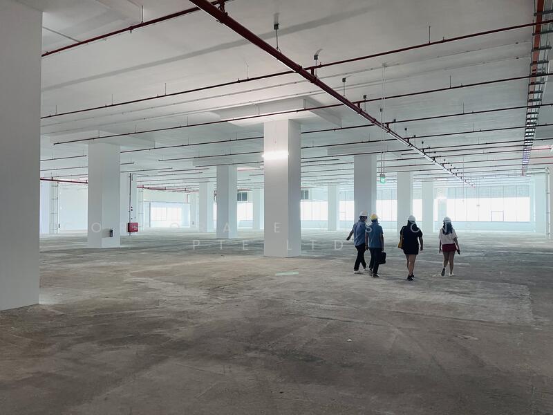 Food Factory Central Kitchen Food Storage 20,000 / 100,000sqft Senoko Woodland, Other Sizes 1330 / 1545 / 2025 / 8240sqft Call 96858829, 20,000 sqft, Factory / Workshop (B2) For Rent, by CHEE SHY RONG (RONN), 24035403 - CommercialGuru.com.sg