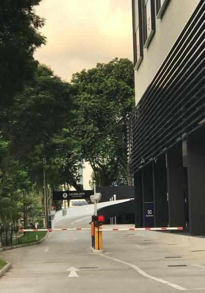 351 On Braddell, 351 Braddell Road, 6,777 sqft, Light Industrial (B1) For Rent, by Sophia Bay, 24041670 - CommercialGuru.com.sg